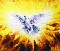 Enflamed by the Holy Spirit Pentecost 2015