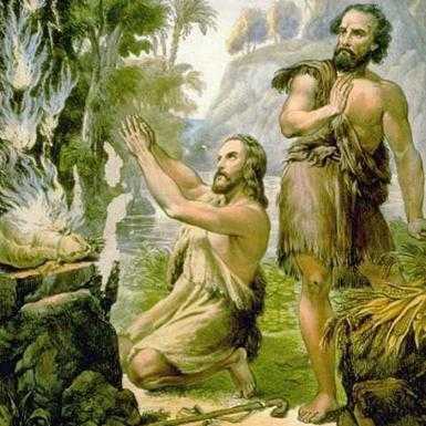 Q & A Adam and Eve Cain and Abel