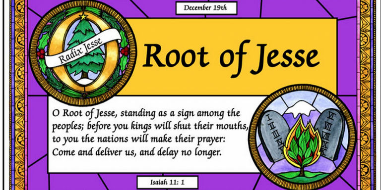 HOPE IN THE FLOWER OF THE ROOT  OF JESSE, The Advent Weekday Word