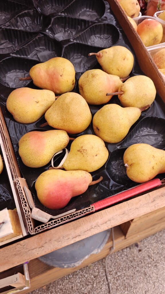 E0264424-87B9-4F48-8D6E-2C55DCD3EE66